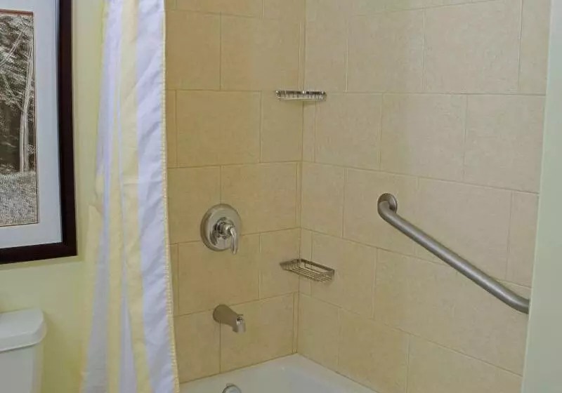 اتاق استاندارد با تخت بزرگ, Hilton Garden Inn Guanacaste Airport
