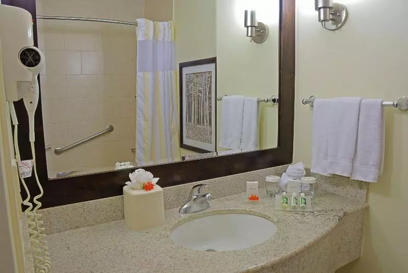 اتاق استاندارد با تخت بزرگ, Hilton Garden Inn Guanacaste Airport