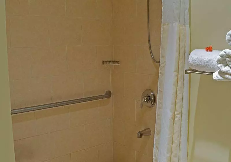 اتاق استاندارد با تخت بزرگ, Hilton Garden Inn Guanacaste Airport