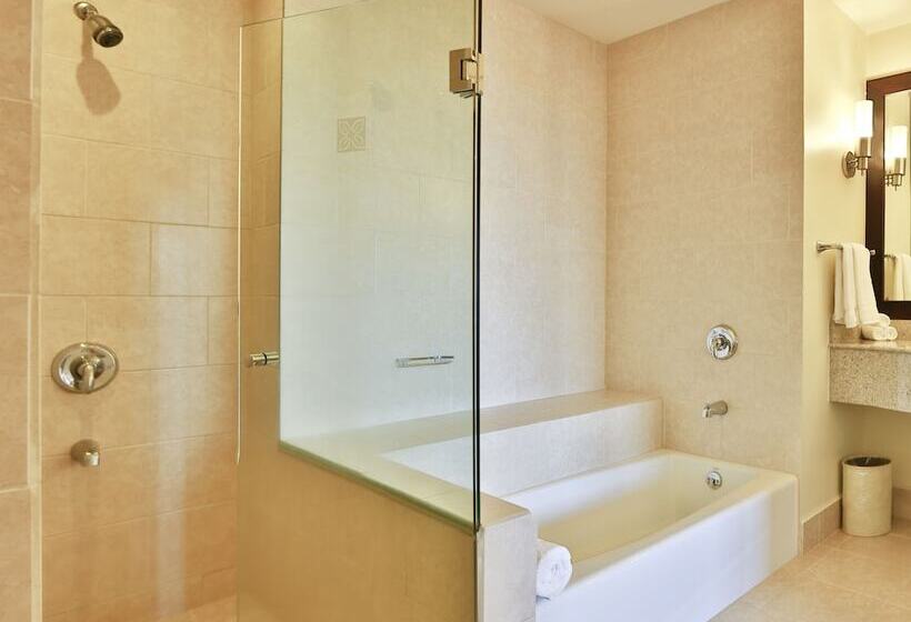 Полулюкс, Hilton Garden Inn Guanacaste Airport