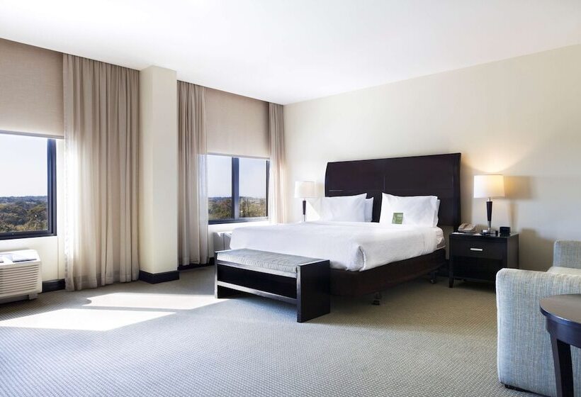 Полулюкс, Hilton Garden Inn Guanacaste Airport