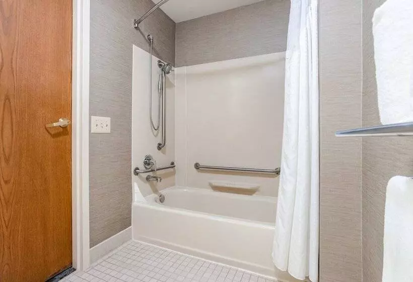 スタンダードルーム, Holiday Inn Express Hotel & Suites Canton, An Ihg