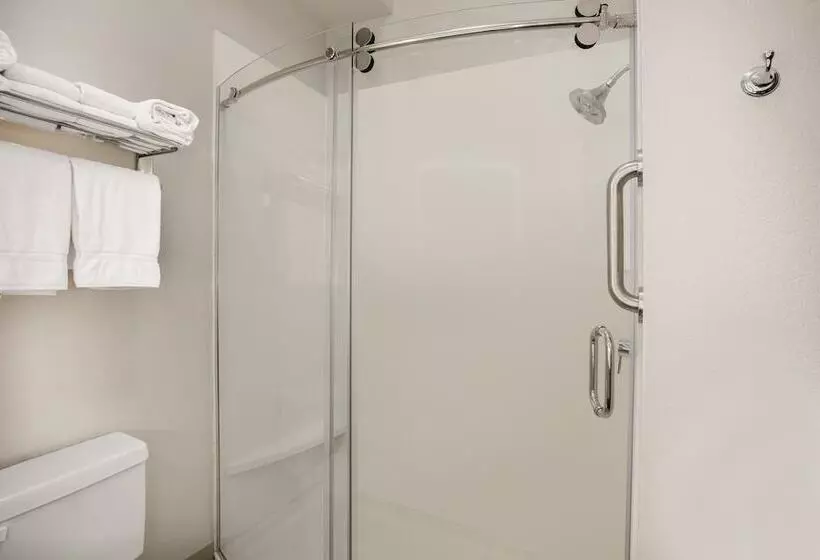 スタンダードルーム, Holiday Inn Express Hotel & Suites Dallas Grand Prairie I 20, An Ihg
