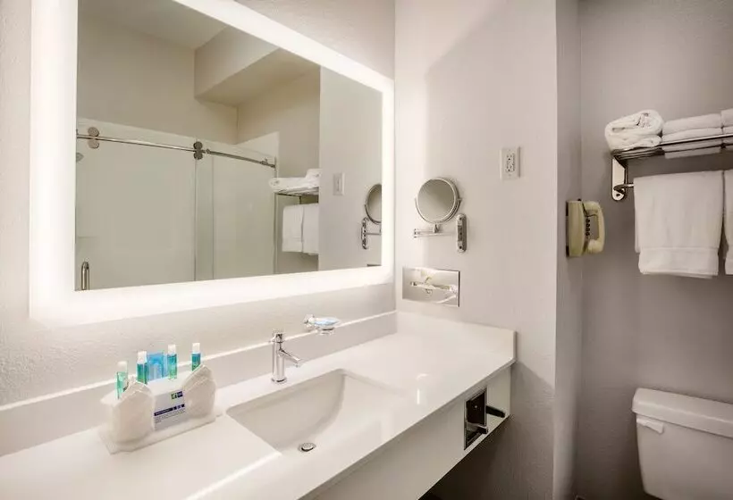 スタンダードルーム, Holiday Inn Express Hotel & Suites Dallas Grand Prairie I 20, An Ihg