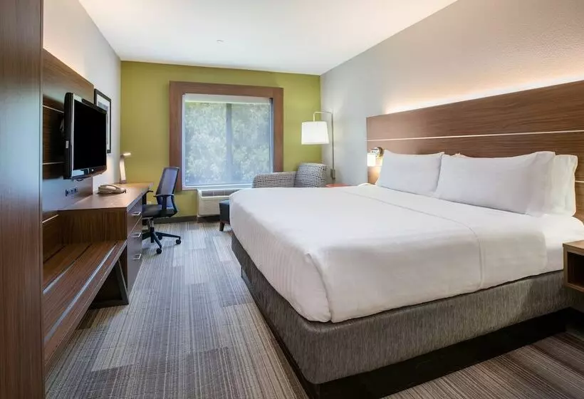 スタンダードルーム, Holiday Inn Express Hotel & Suites Dallas Grand Prairie I 20, An Ihg