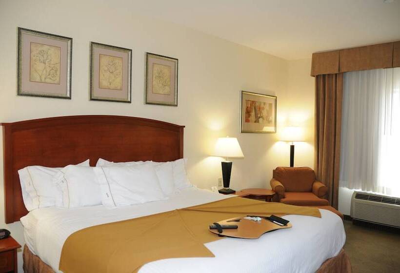 غرفة قياسية, Holiday Inn Express Hotel & Suites Dallas   Grand Prairie I 20, An Ihg