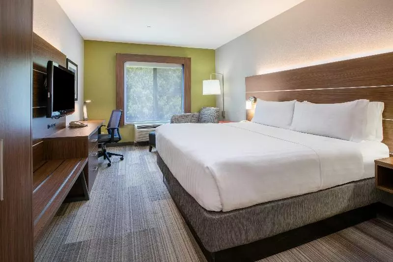 キングサイズベッドのスタンダードルーム, Holiday Inn Express Hotel & Suites Dallas Grand Prairie I 20, An Ihg