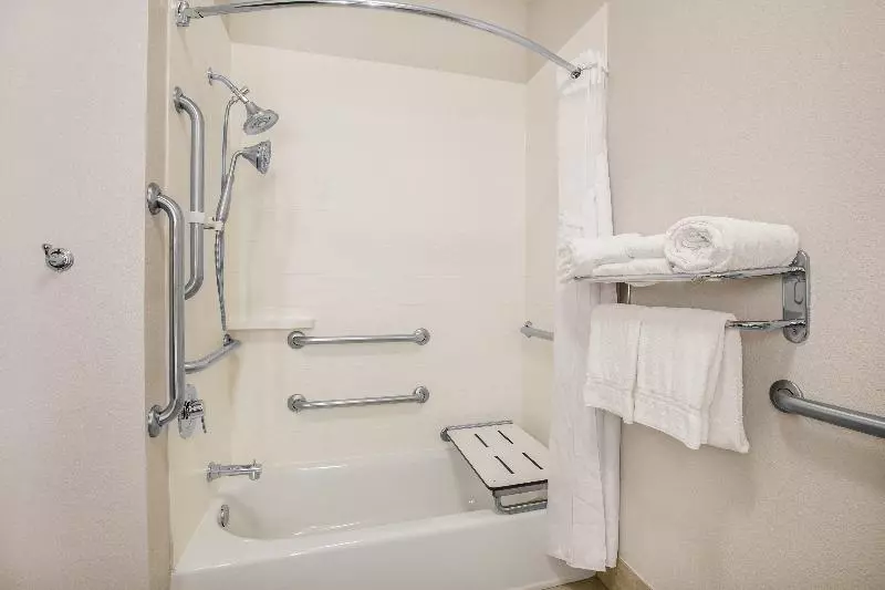 キングサイズベッドのスタンダードルーム, Holiday Inn Express Hotel & Suites Dallas Grand Prairie I 20, An Ihg