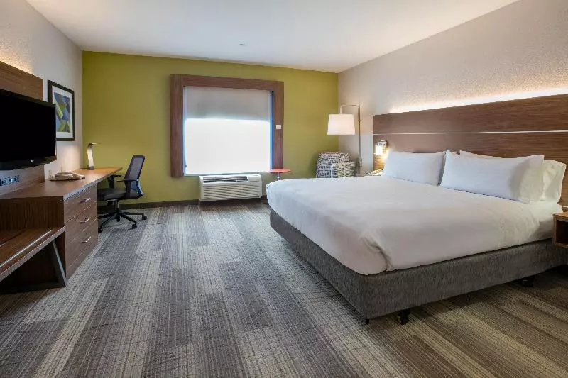 キングサイズベッドのスタンダードルーム, Holiday Inn Express Hotel & Suites Dallas Grand Prairie I 20, An Ihg