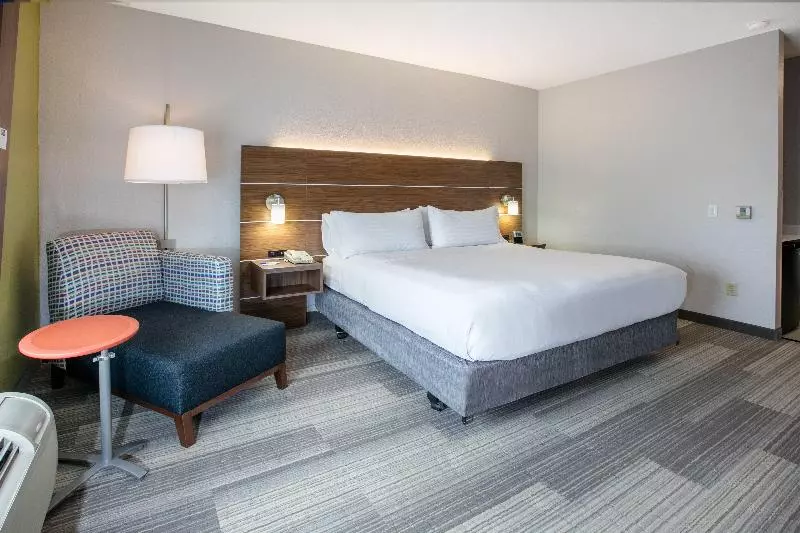 身障者適用キングサイズベッドルーム, Holiday Inn Express Hotel & Suites Dallas Grand Prairie I 20, An Ihg
