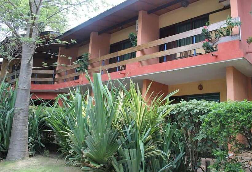 غرفة سوبيريور, Napoleon Lagune