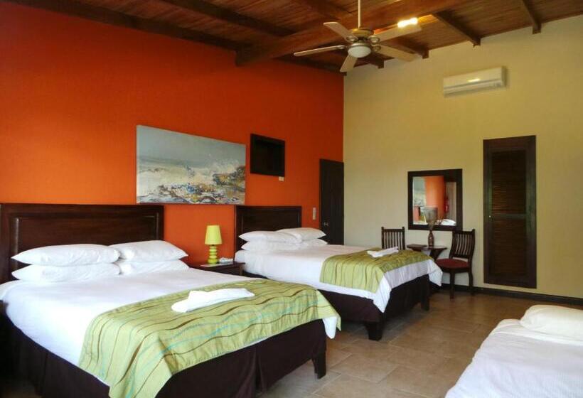 이코노미 룸, The Falls At Manuel Antonio