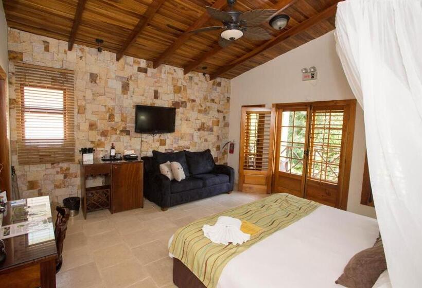 디럭스 룸, The Falls At Manuel Antonio