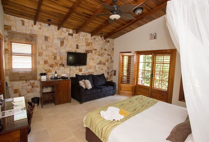 디럭스 룸, The Falls At Manuel Antonio