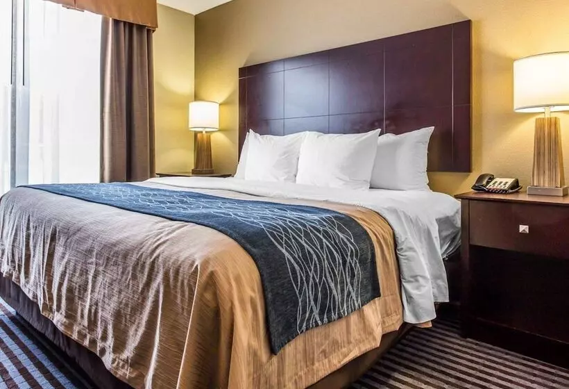 スイート, Comfort Inn & Suites Ballpark Area