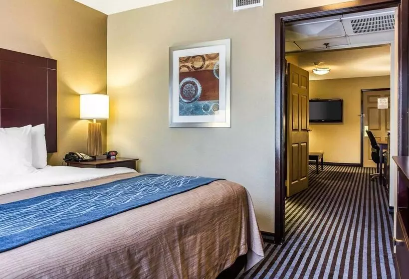 スイート, Comfort Inn & Suites Ballpark Area