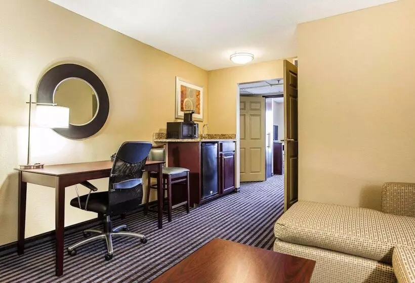 スイート, Comfort Inn & Suites Ballpark Area