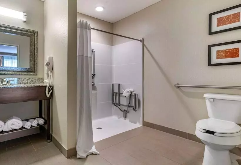 Sviitti Liikuntarajoitteisille, Comfort Suites Biloxi/ocean Springs