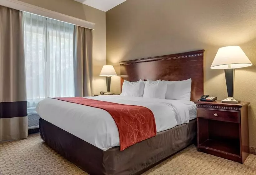 Sviitti Liikuntarajoitteisille, Comfort Suites Biloxi/ocean Springs