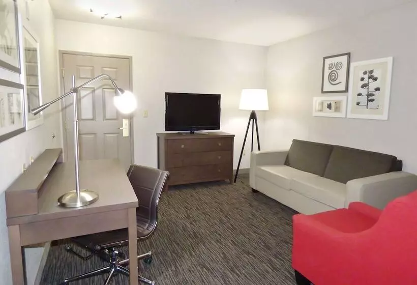 身障者適用スイートルーム, Country Inn & Suites By Radisson, Tampa Brandon, Fl