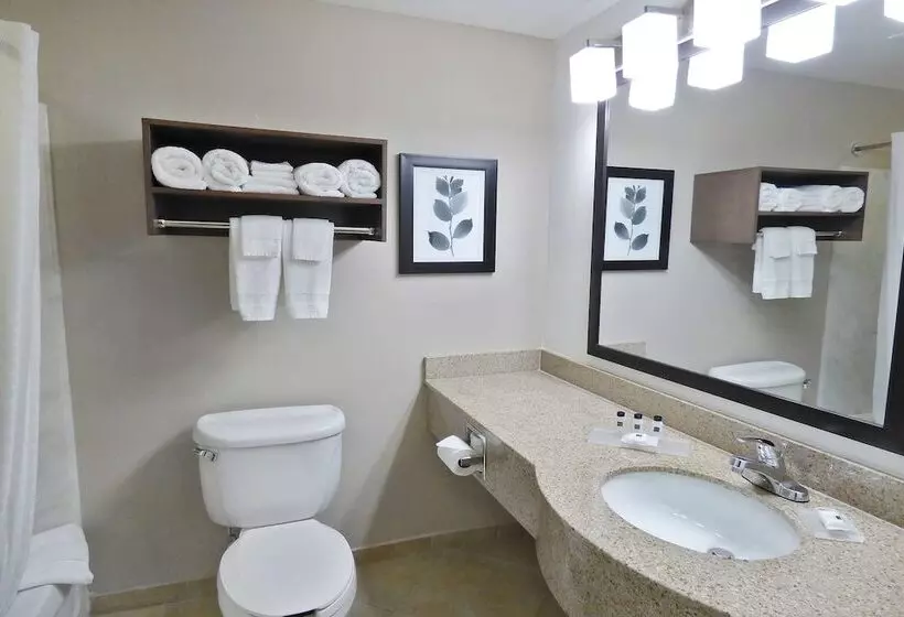 プレミアムスイート, Country Inn & Suites By Radisson, Tampa Brandon, Fl