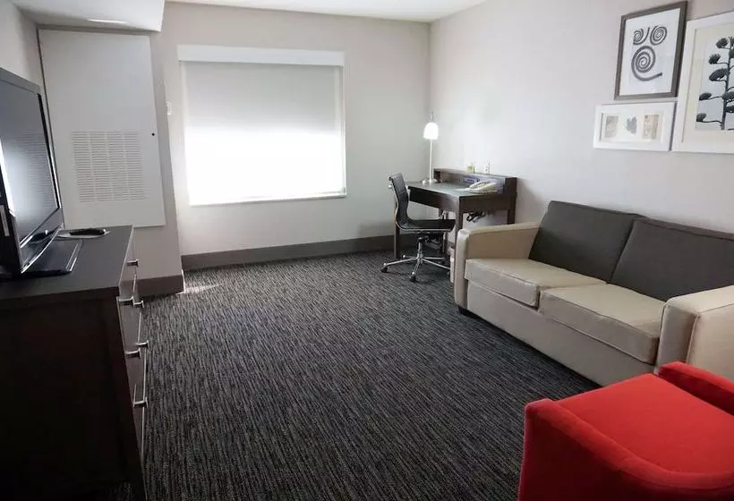 プレミアムスイート, Country Inn & Suites By Radisson, Tampa Brandon, Fl