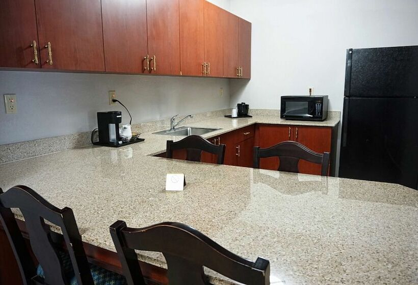 سوئیت پریمیوم, Country Inn & Suites By Radisson, Tampa Brandon, Fl