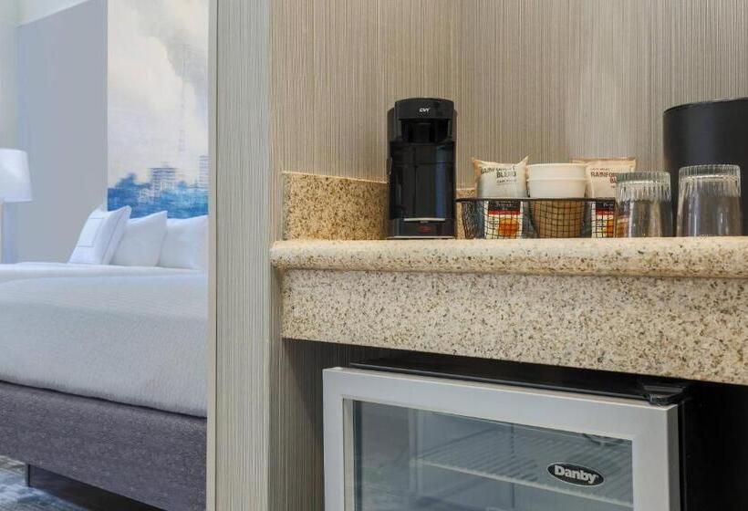 Стандартный Номер Кровать Кинг, Courtyard By Marriott Pittsburgh Downtown