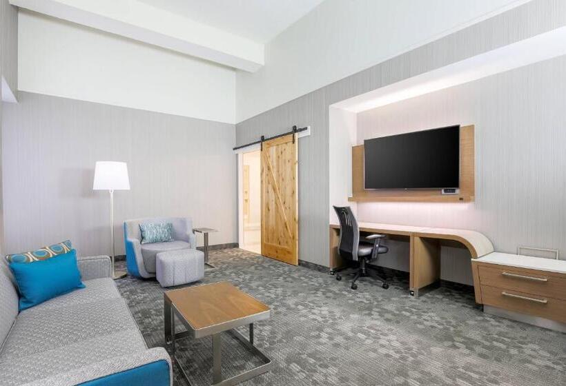 Люкс, Courtyard By Marriott Pittsburgh Downtown