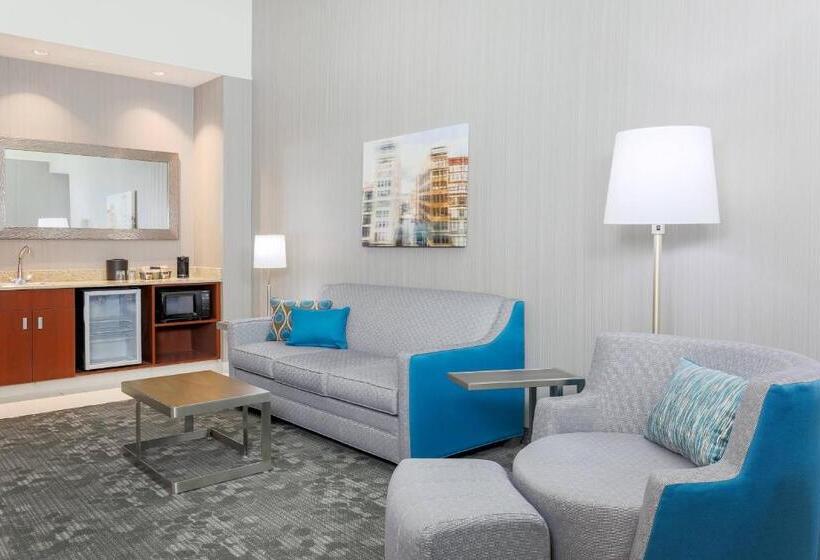 סוויטה, Courtyard By Marriott Pittsburgh Downtown