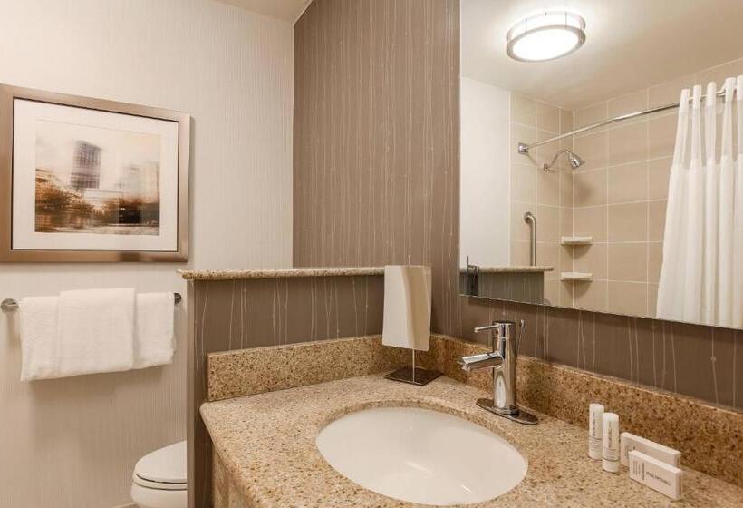 חדר דלוקס מותאם לאנשים עם מוגבלויות, Courtyard By Marriott Pittsburgh Downtown