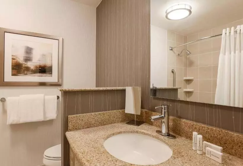 障害者適応デラックスルーム, Courtyard By Marriott Pittsburgh Downtown