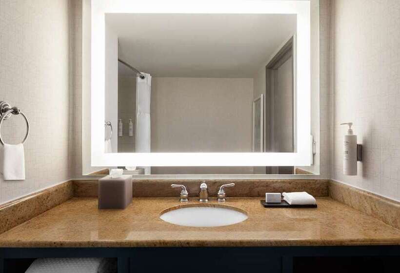 جناح سرير كينج, Embassy Suites By Hilton Jackson North Ridgeland