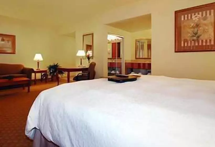 スタンダードルーム, Hampton Inn & Suites Pharr