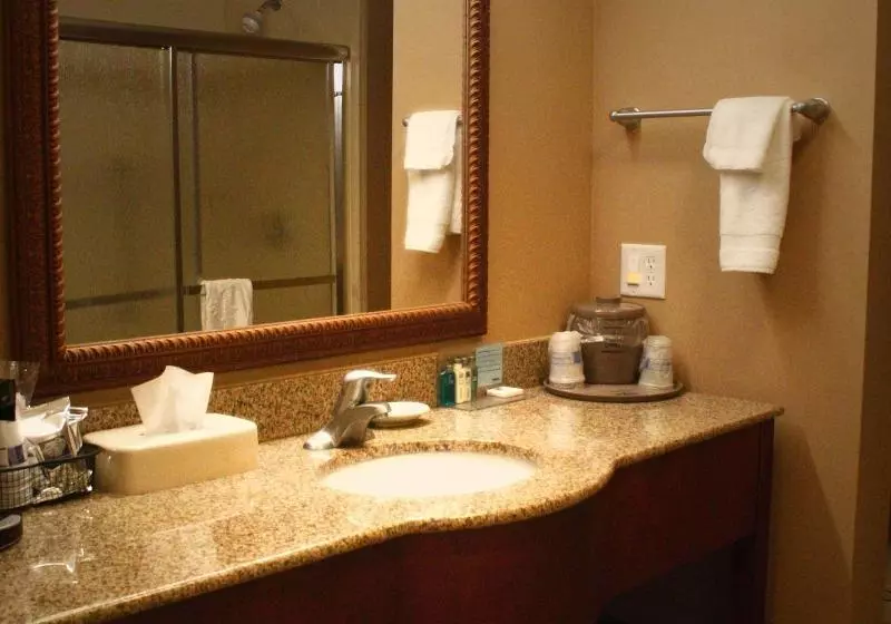 اتاق استاندارد با تخت بزرگ, Hampton Inn Sierra Vista