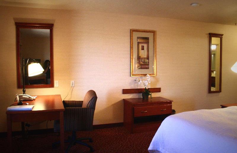 스탠다드 룸 킹사이즈 침대, Hampton Inn Sierra Vista