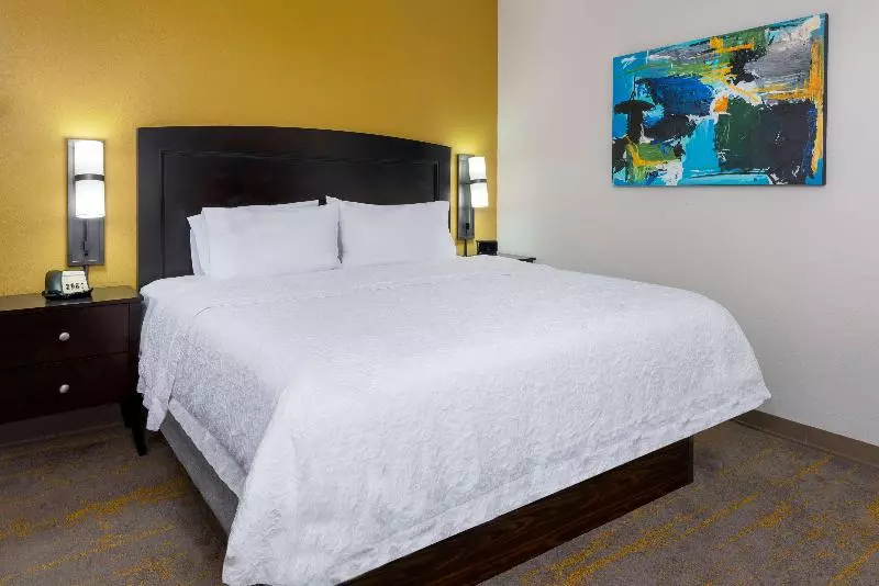 キングサイズベッドのスタンダードルーム, Hampton Inn & Suites Sarasota/lakewood Ranch