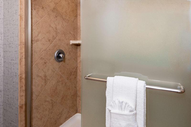 غرفة قياسية سرير كينج, Hampton Inn & Suites Sarasota/lakewood Ranch