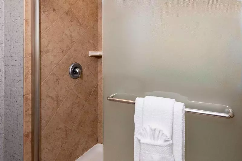 キングサイズベッドのスタンダードルーム, Hampton Inn & Suites Sarasota/lakewood Ranch