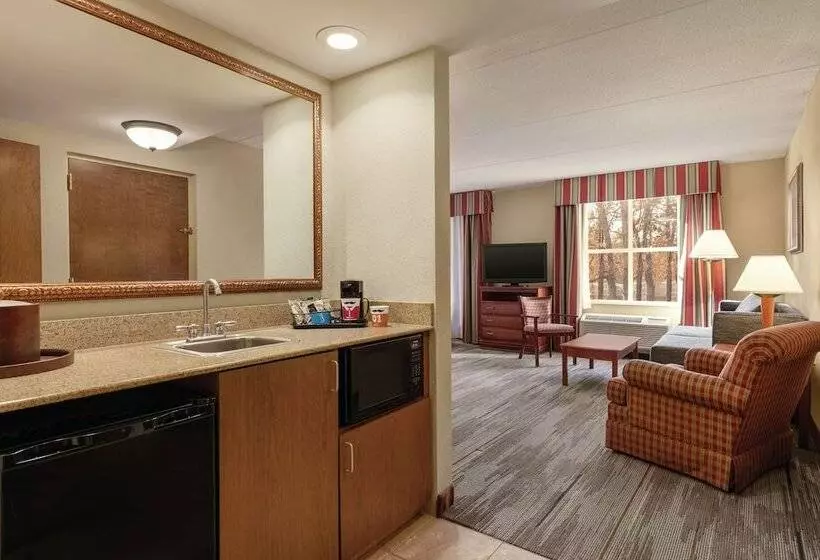 スタンダードスタジオ, Hampton Inn & Suites Williamsburg Historic District