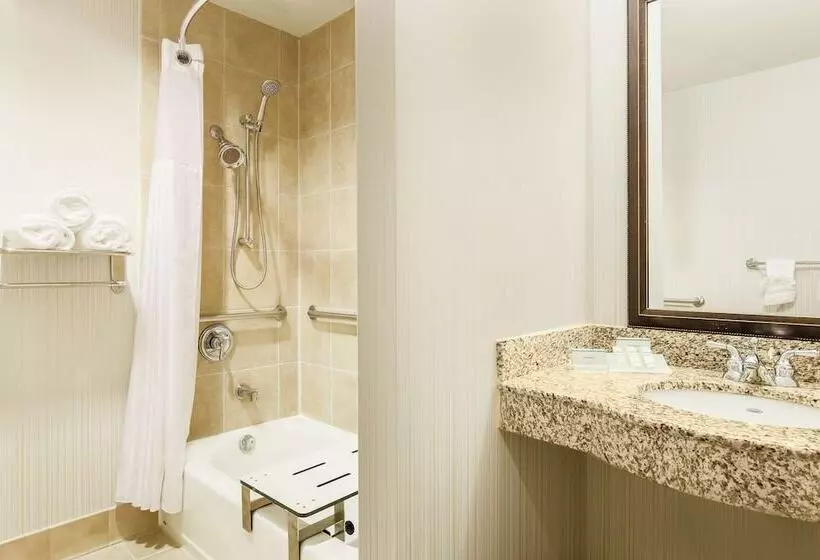 Juniorsviitti, Hilton Garden Inn Dallas Lewisville