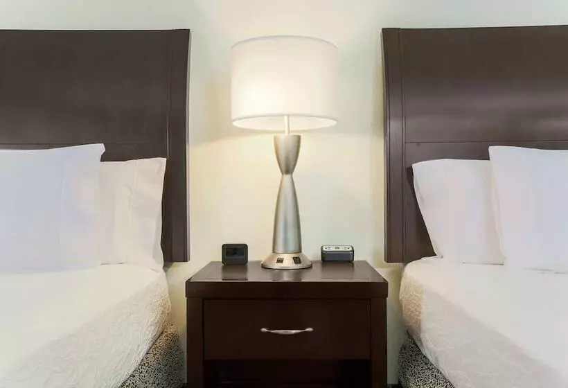 Standard-huone, Hilton Garden Inn Dallas Lewisville