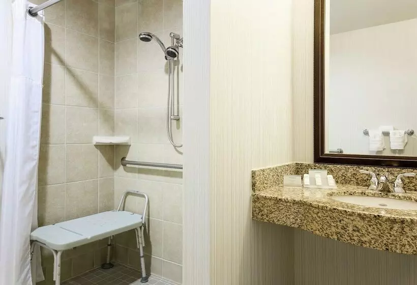 Standard-invahuone, Hilton Garden Inn Dallas Lewisville