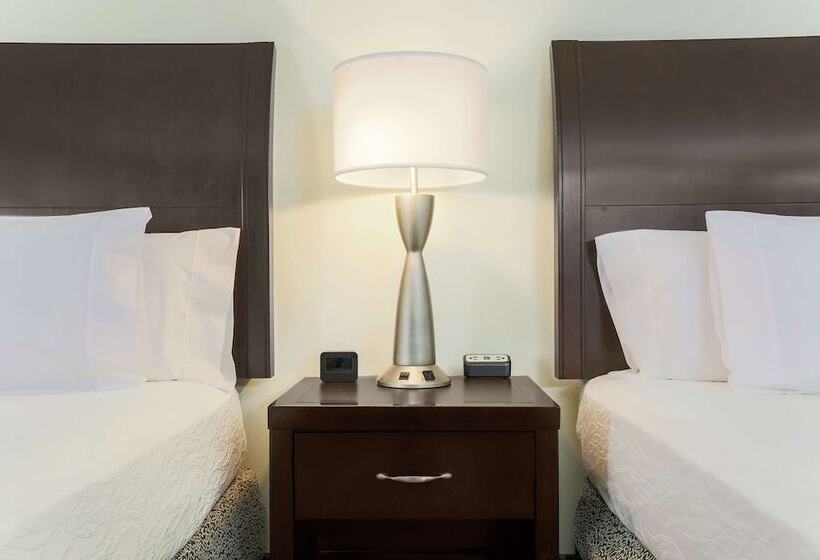 장애인을 위한 스탠다드 룸, Hilton Garden Inn Dallas Lewisville