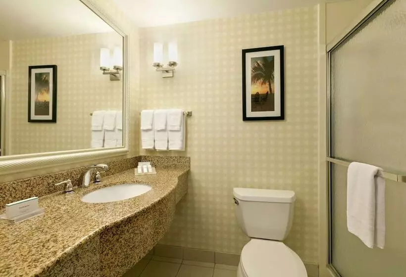 身障者適用スタンダードルーム, Hilton Garden Inn Fort Myers Airport/fgcu
