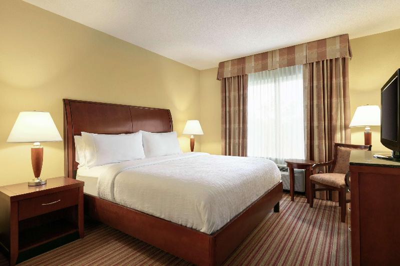 带大床的套房, Hilton Garden Inn Fort Myers Airport/fgcu