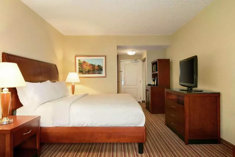 キングサイズベッドのスタンダードルーム, Hilton Garden Inn Fort Myers Airport/fgcu