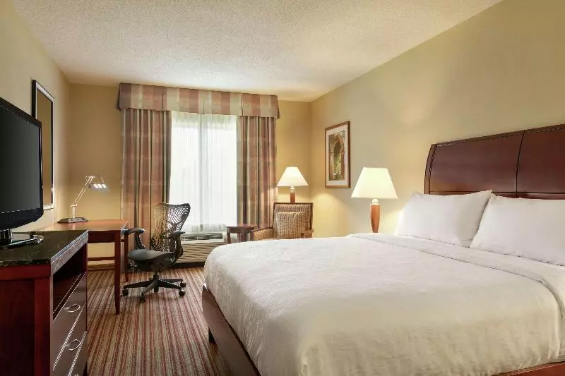 キングサイズベッドのスタンダードルーム, Hilton Garden Inn Fort Myers Airport/fgcu