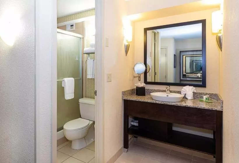 キングサイズベッドのエクゼクティブルーム, Holiday Inn St. Louis Airport West Earth City, An Ihg