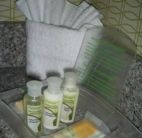 キングサイズベッドのエクゼクティブルーム, Holiday Inn St. Louis Airport West Earth City, An Ihg